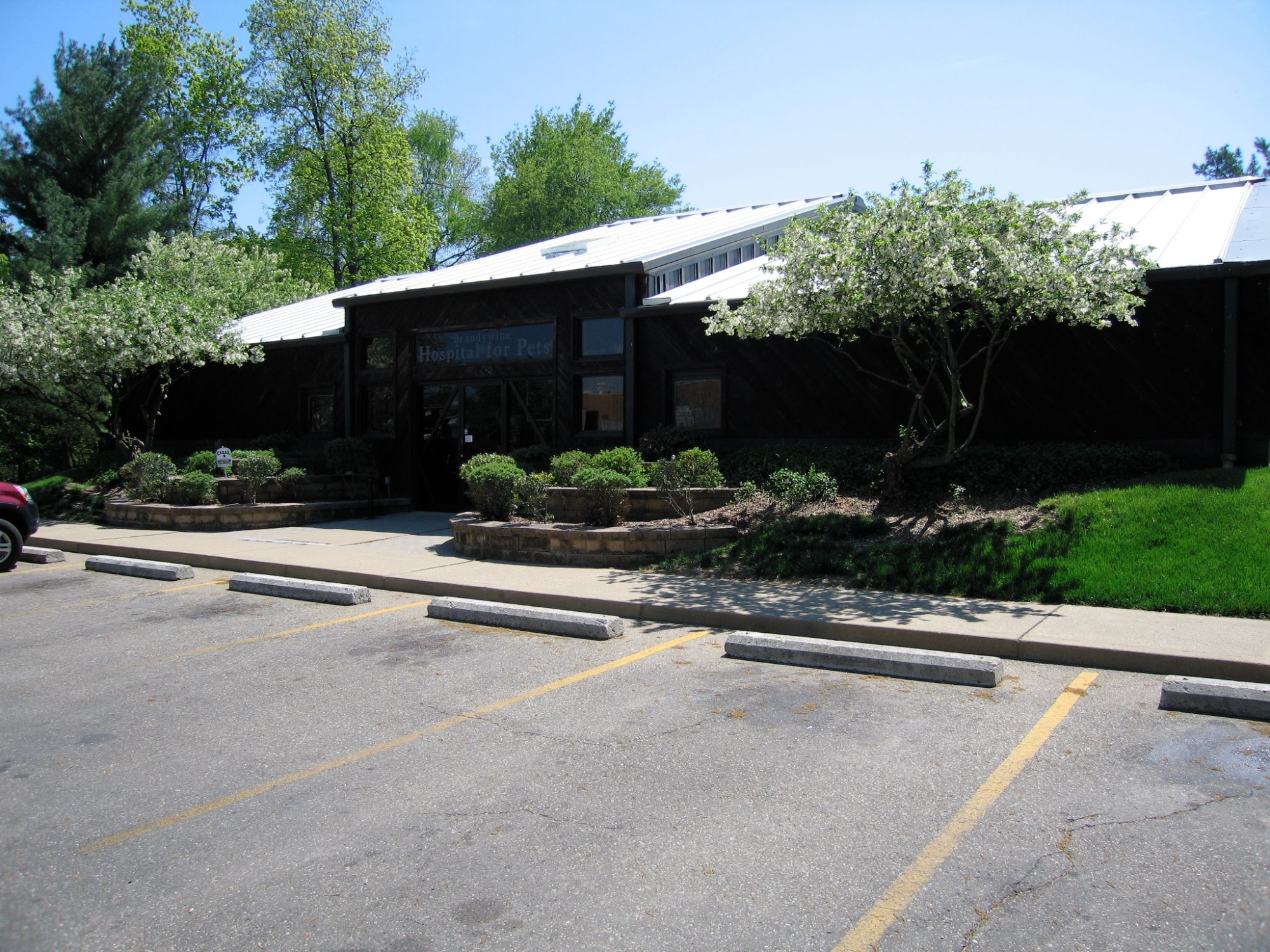 Brandywine Hospital For Pets photo