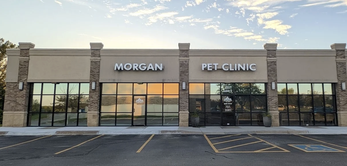 Morgan Pet Clinic photo