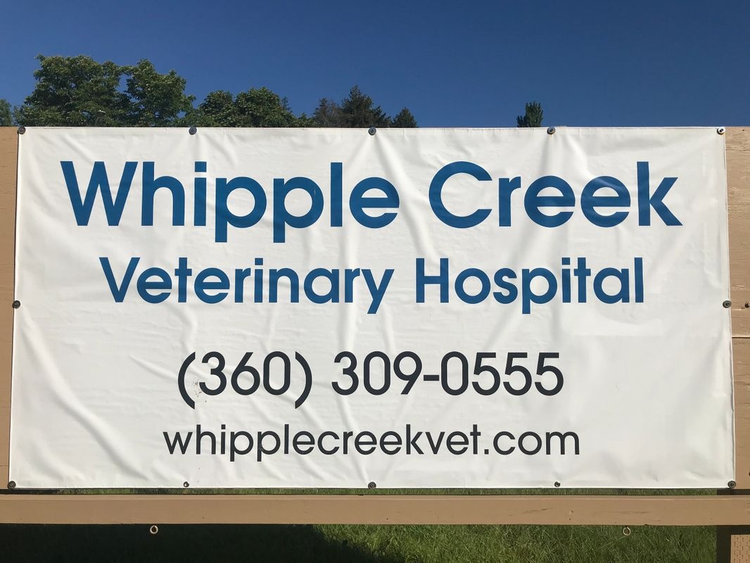 Whipple Creek Veterinary Hospital photo