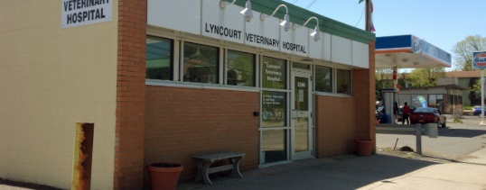 Lyncourt Veterinary Hospital photo