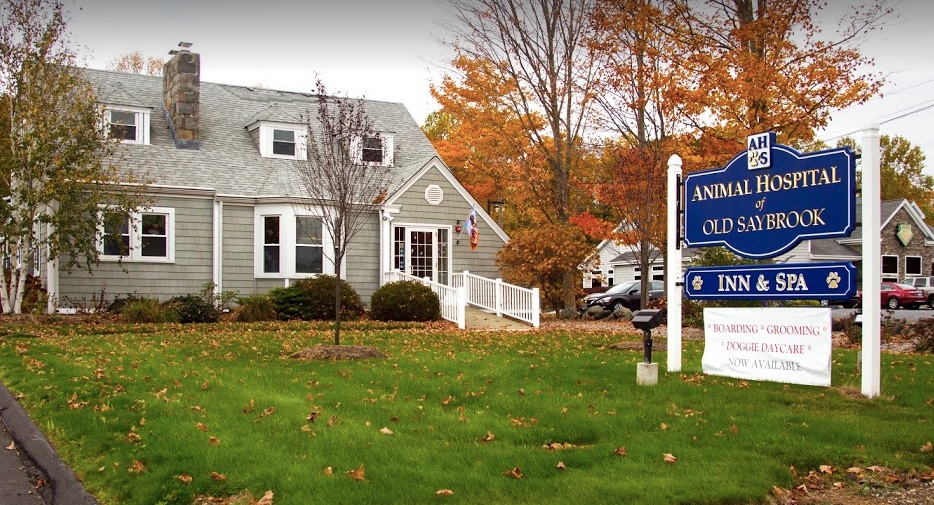Animal Hospital of Old Saybrook photo