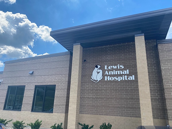 Lewis Animal Hospital photo