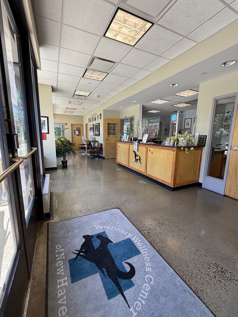 Veterinary Wellness Center of New Haven photo