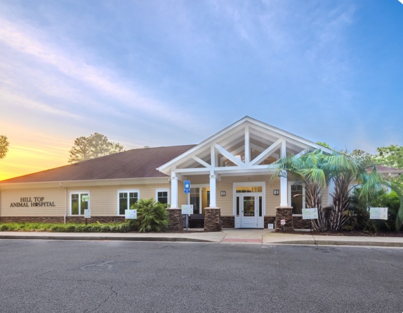 Hill Top Animal Hospital photo