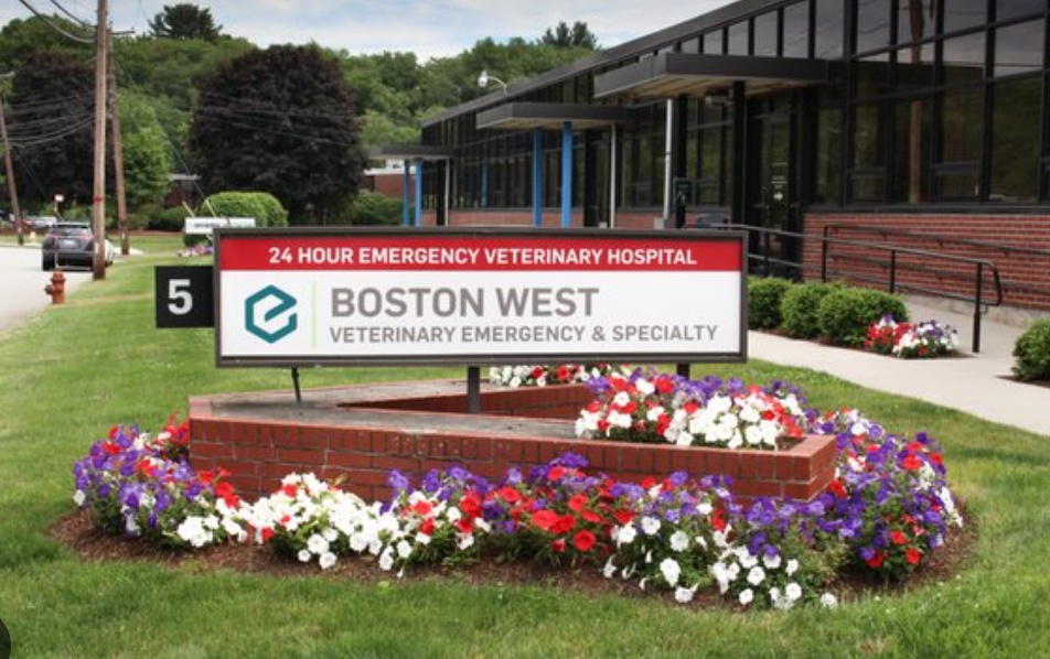 Boston West Veterinary Emergency & Specialty photo