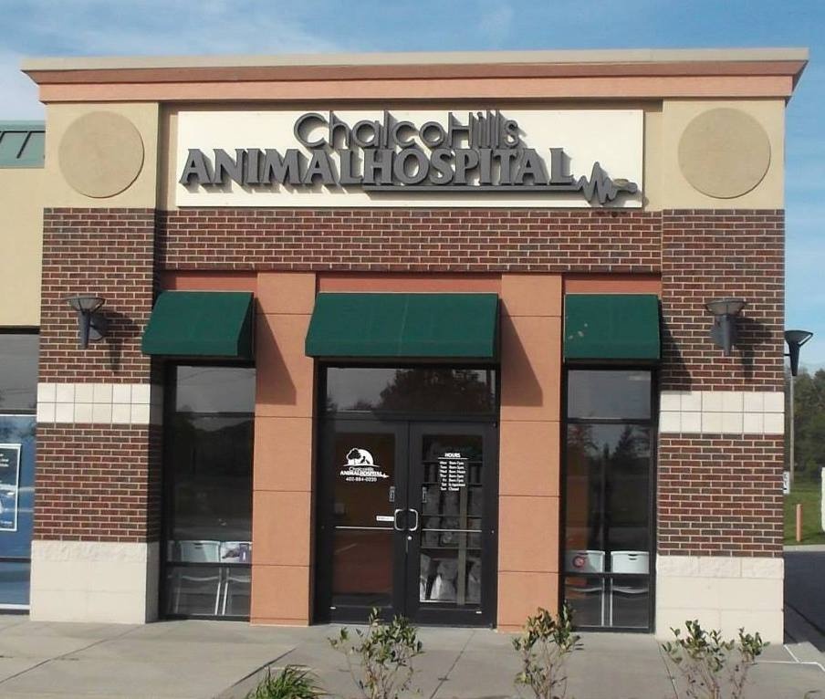 Chalco Hills Animal Hospital photo