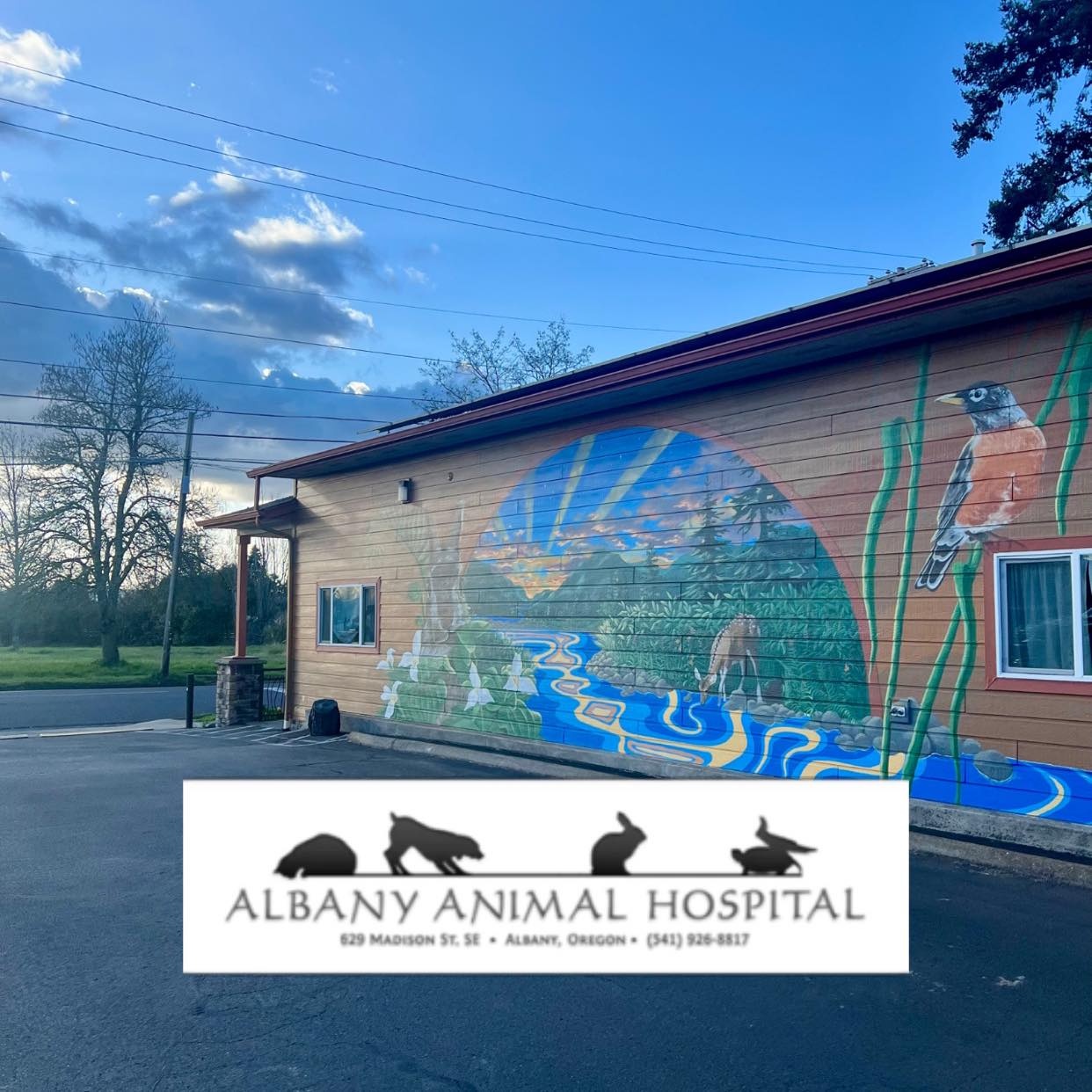 Albany Animal Hospital photo