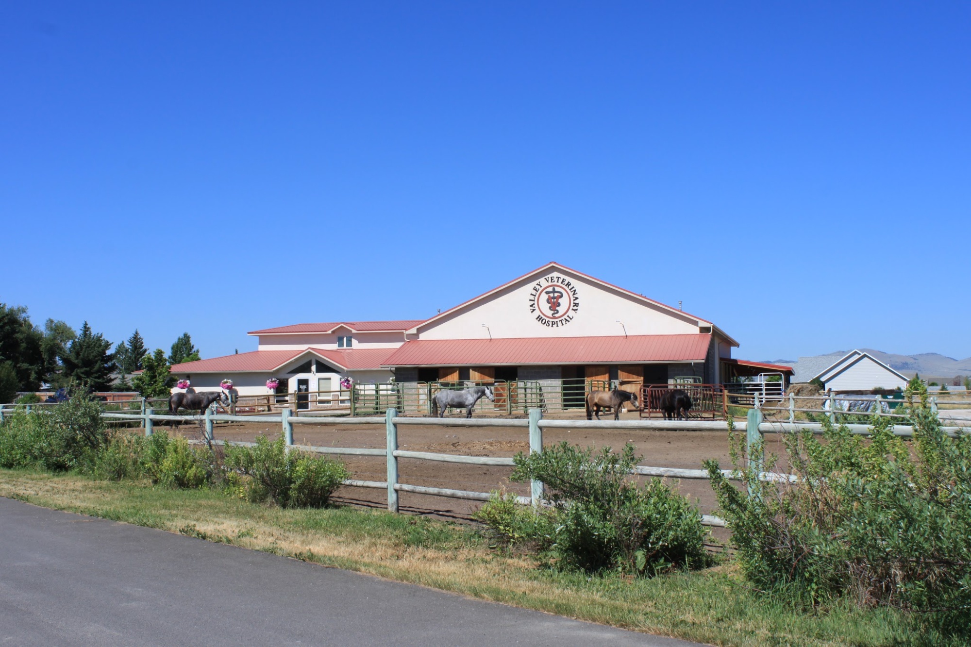 Valley Veterinary Hospital of Helena photo