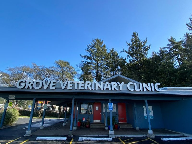 Grove Veterinary Clinic photo