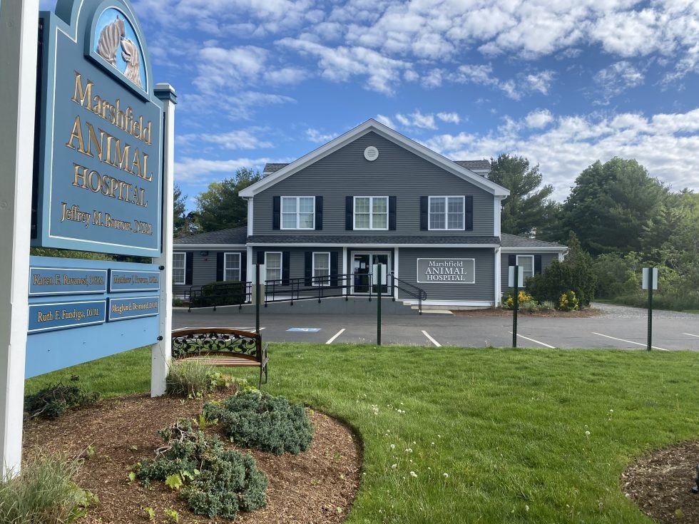 Marshfield Animal Hospital photo