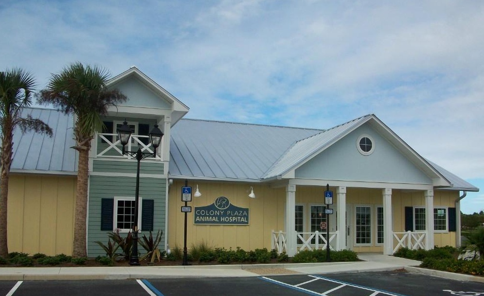 Colony Plaza Animal Hospital photo