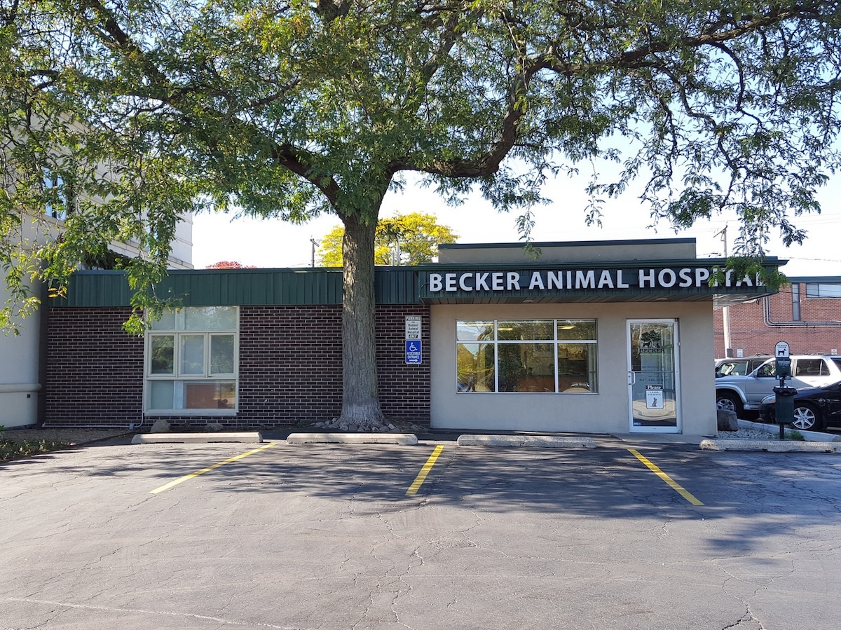 Becker Animal Hospital photo