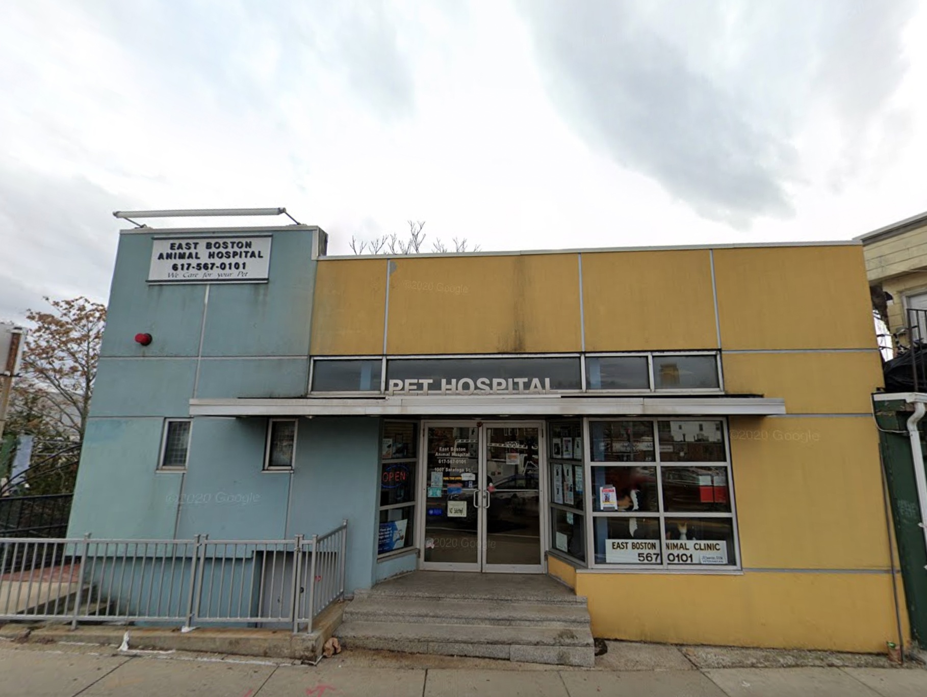 East Boston Animal Hospital photo