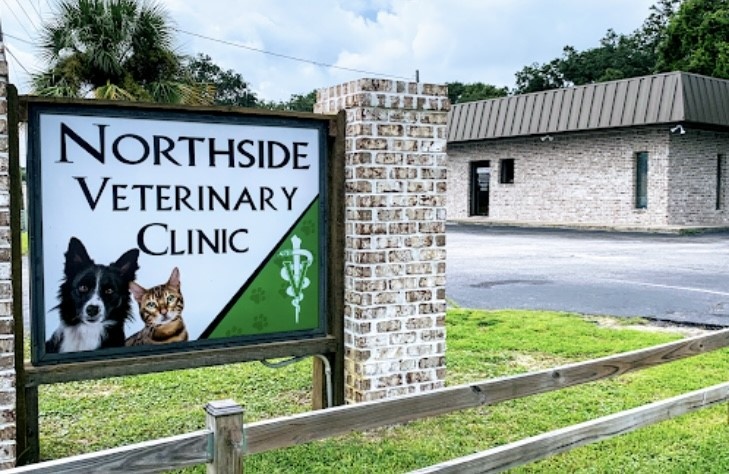Northside Veterinary Clinic photo