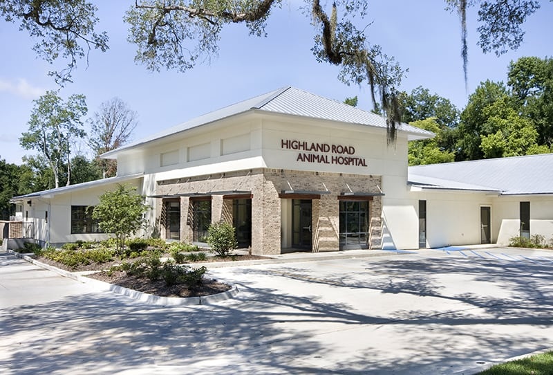 Highland Road Animal Hospital photo