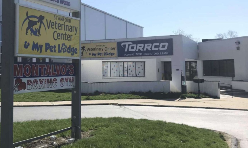 Stamford Veterinary Center & Pet Lodge photo