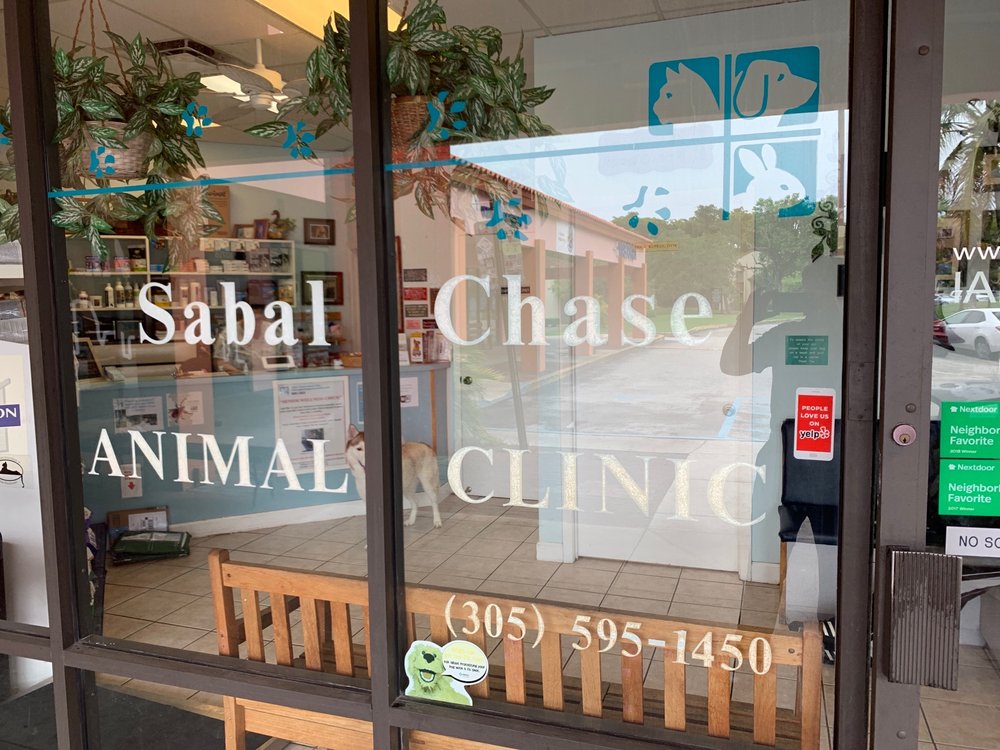 Sabal Chase Animal Clinic photo