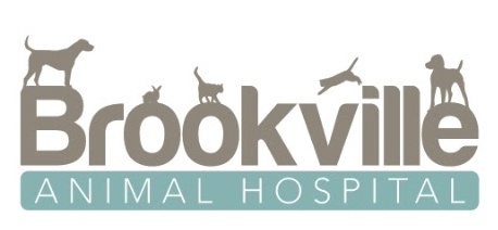 Brookville Animal Hospital (OH) photo