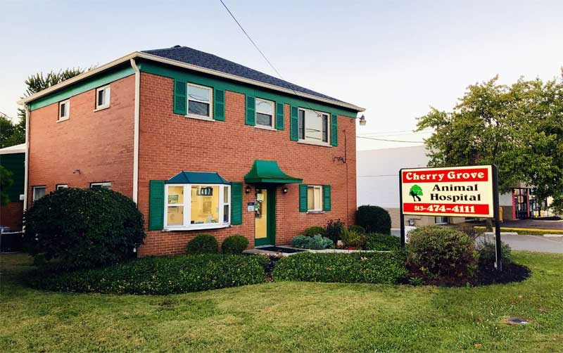Cherry Grove Animal Hospital photo