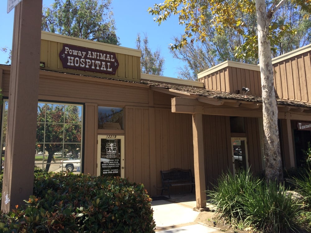 Poway Animal Hospital photo