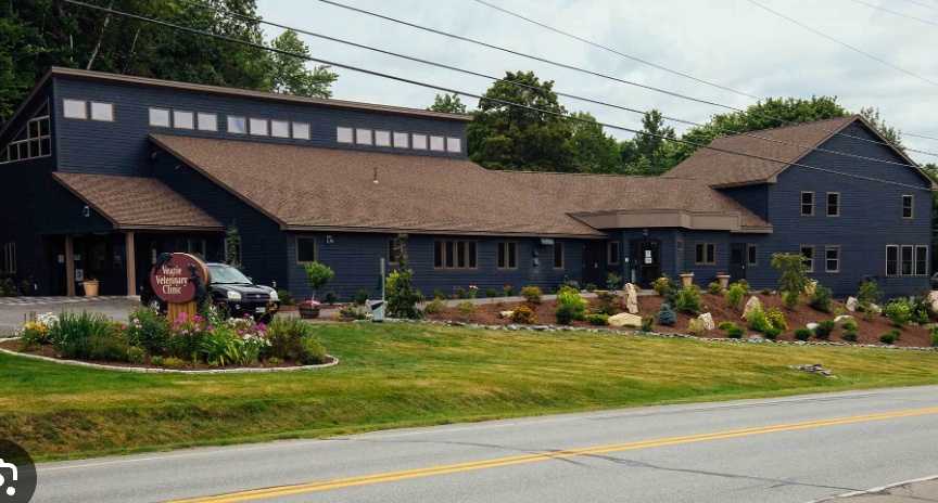 Veazie Veterinary Clinic photo
