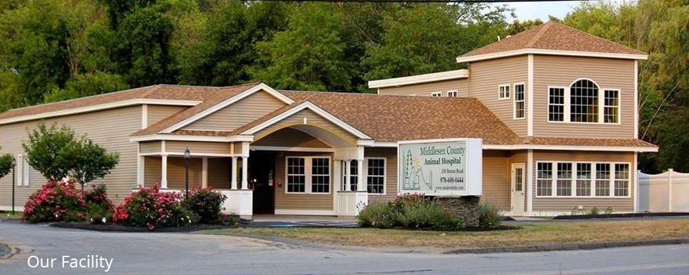 Middlesex County Animal Hospital 330 Boston Road  photo