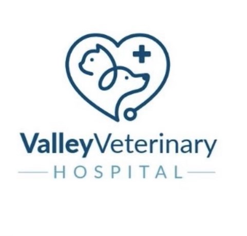 Valley Veterinary Hospital photo