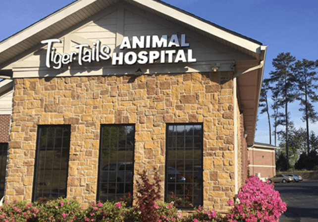 Tiger Tails Animal Hospital photo