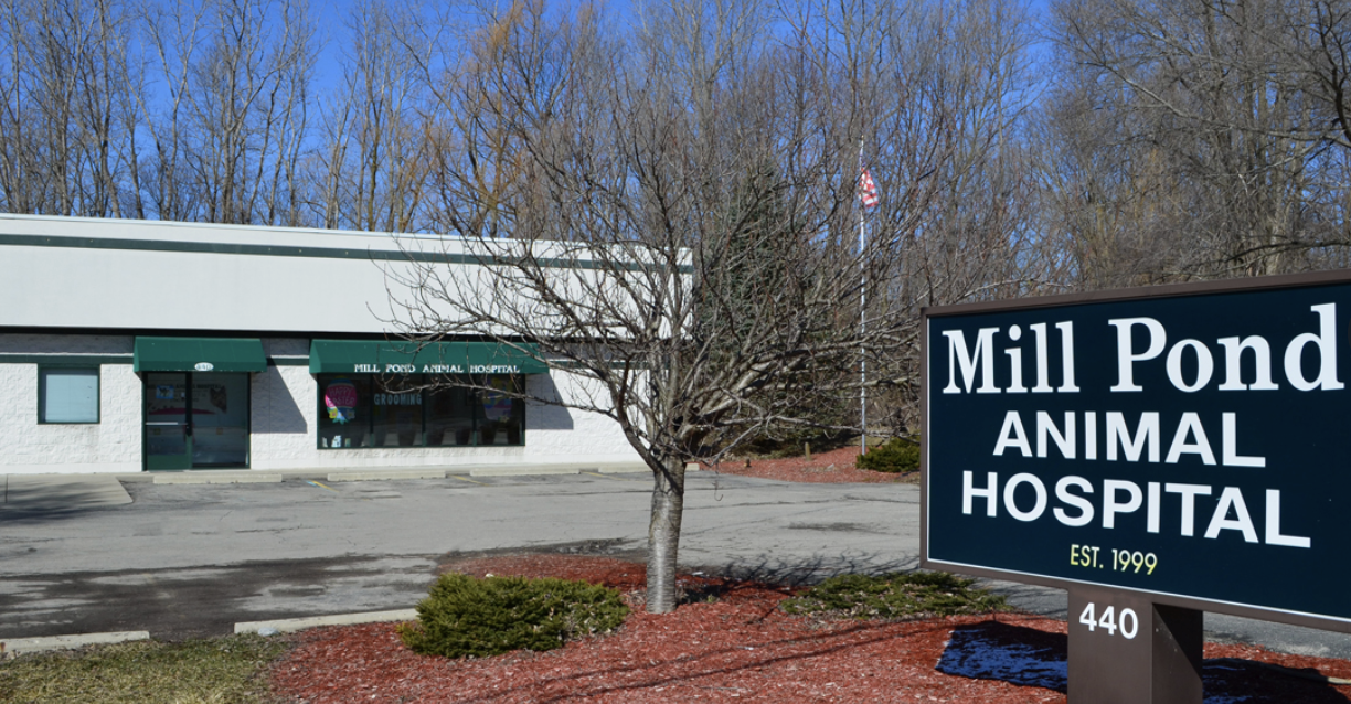 Mill Pond Animal Hospital photo