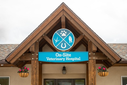 On-Site Vet Hospital photo