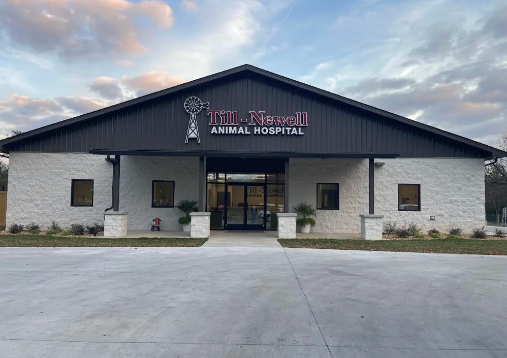 Till-Newell Animal Hospital photo