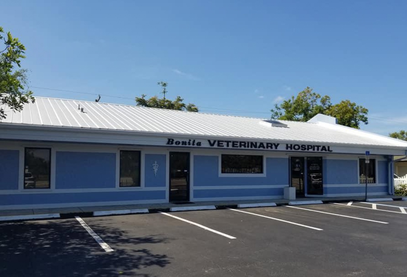 Bonita Veterinary Hospital photo