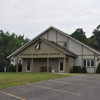 Chathams Small Animal Hospital photo