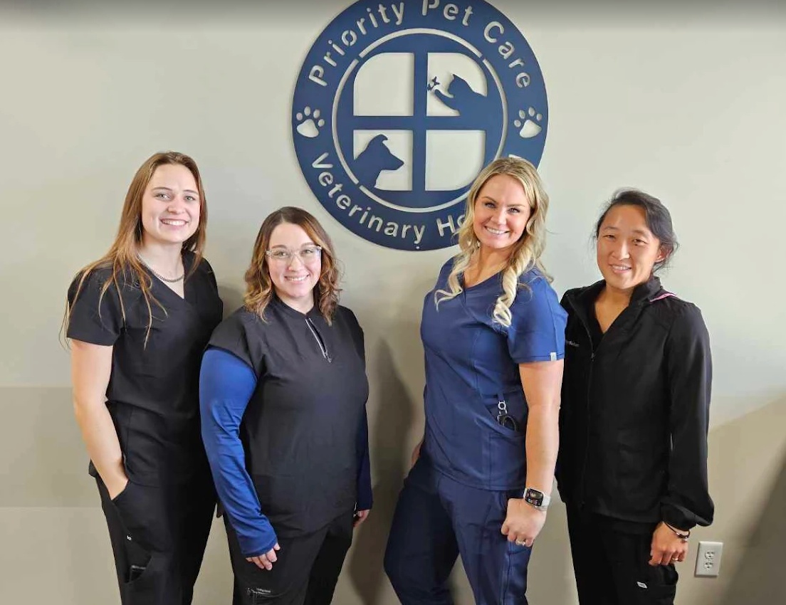 Priority Pet Care Veterinary Hospital  photo