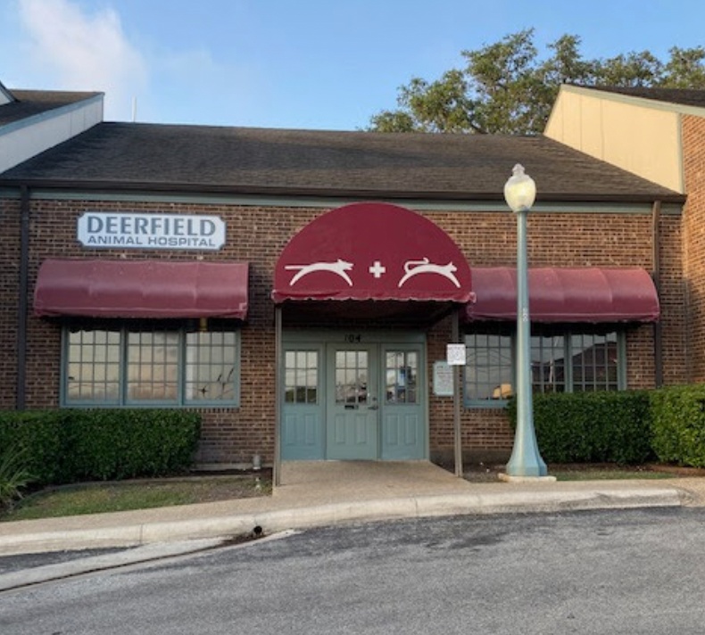Deerfield Animal Hospital photo