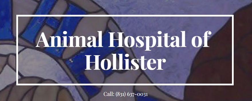 Animal Hospital of Hollister photo
