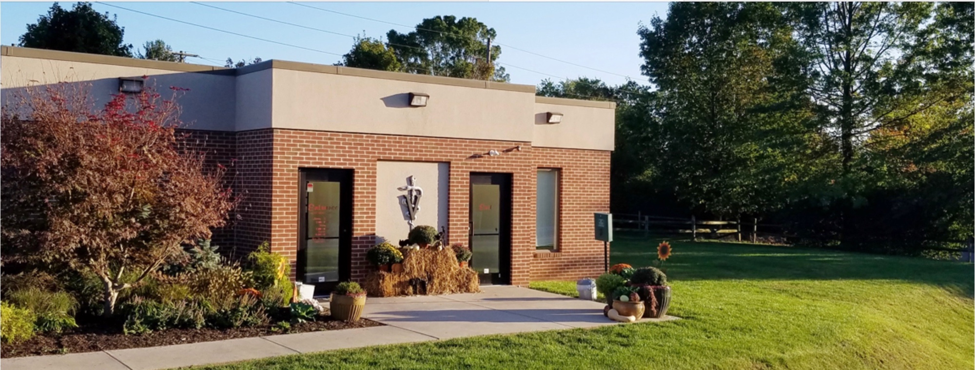 Adamstown Veterinary Hospital photo