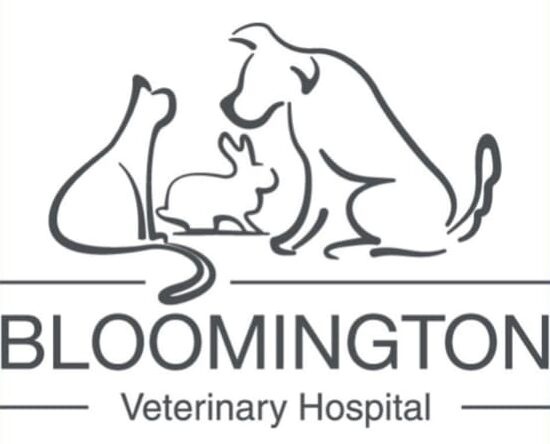 Bloomington Veterinary Hospital photo