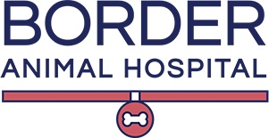 Border Animal Hospital photo