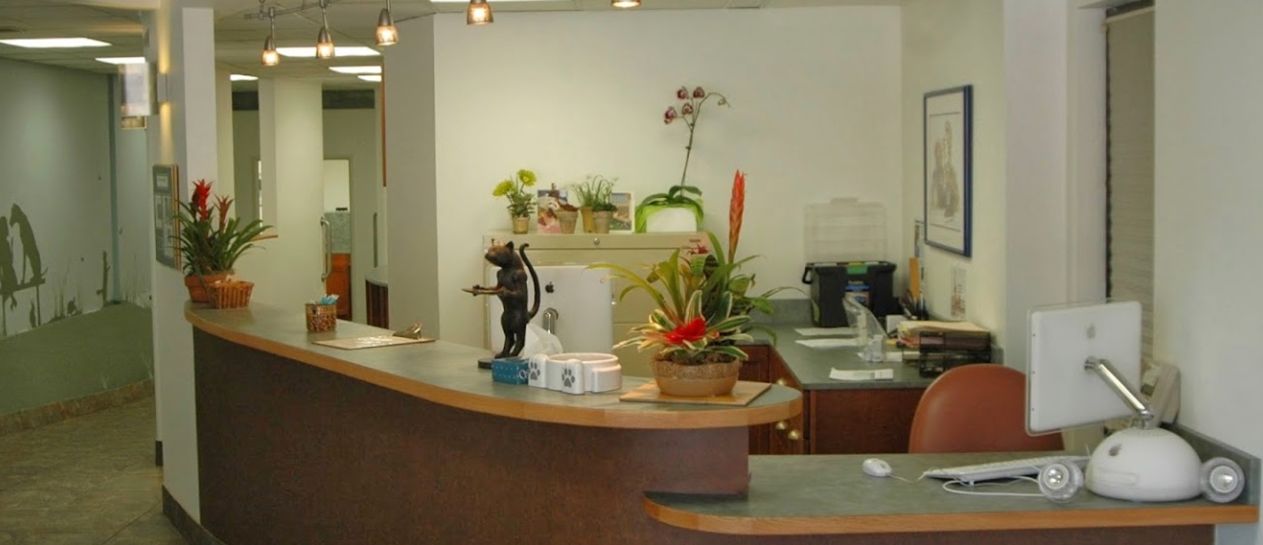  Veterinary Vision San Francisco  (SF) photo