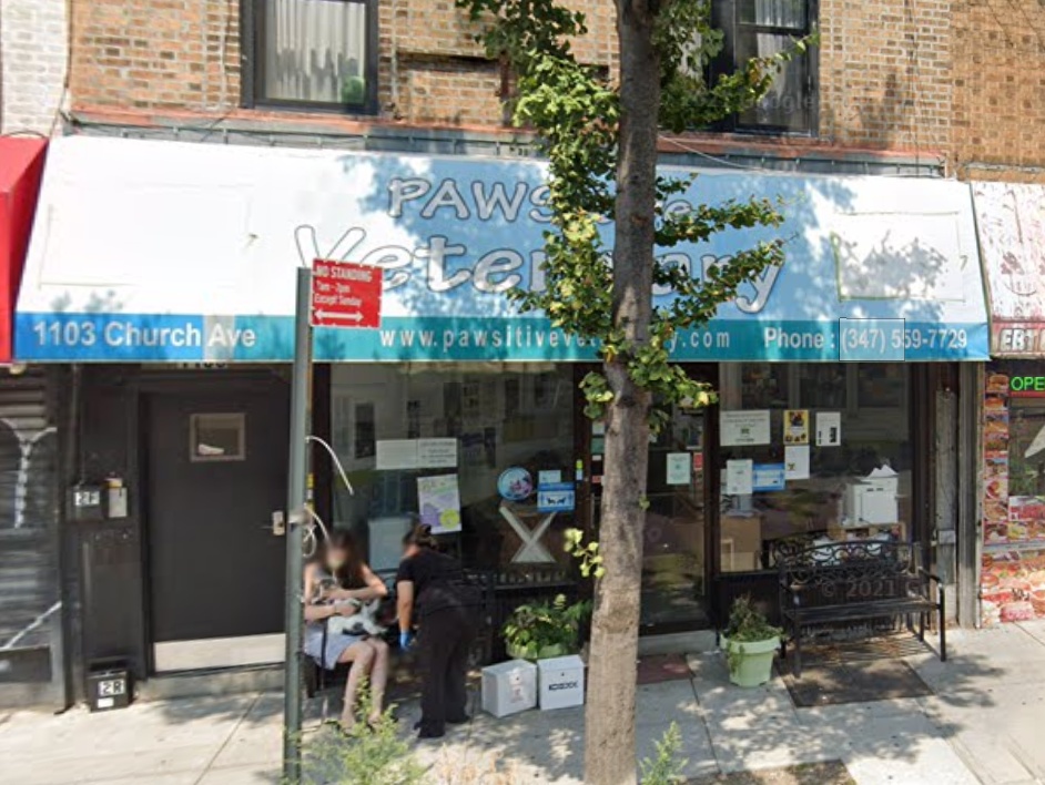 Pawsitive Veterinary of New York photo