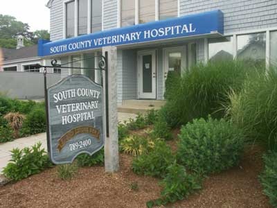 South County Veterinary Hospital photo