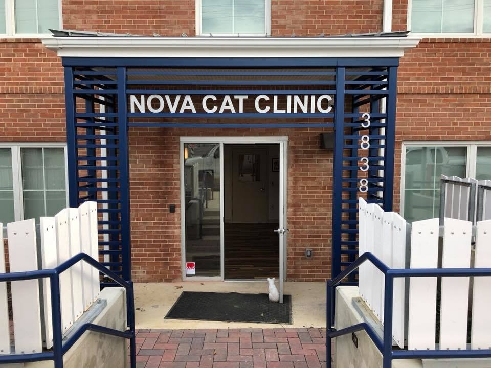 NOVA Cat Clinic - Arlington Clinic photo