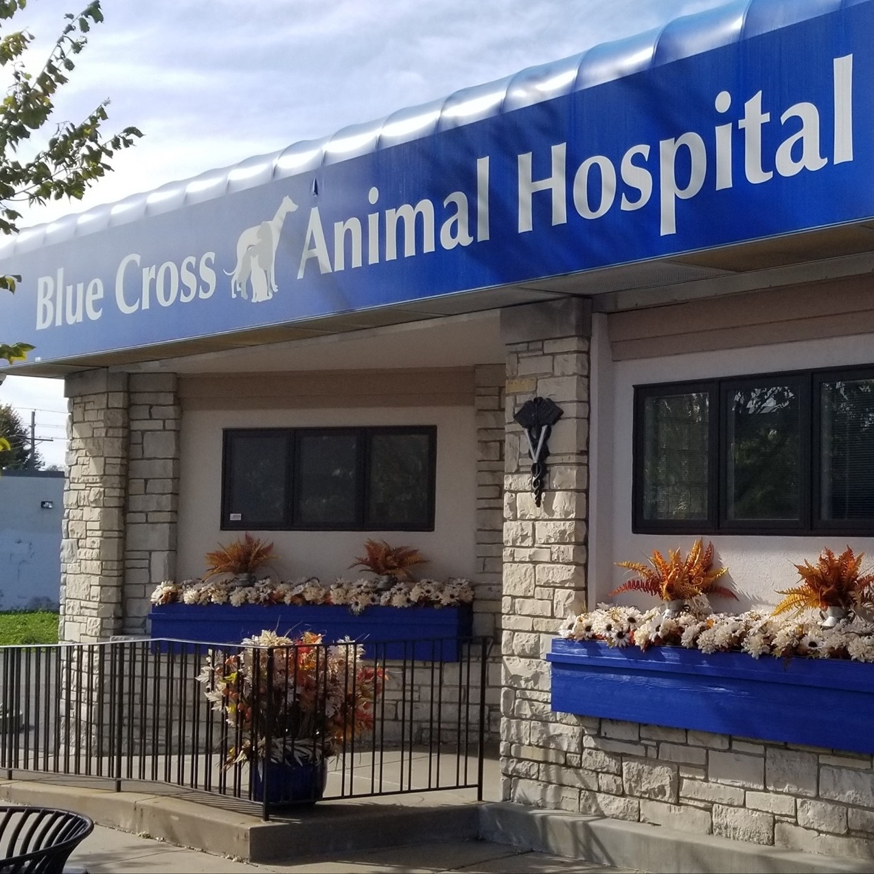 Blue Cross Animal Hospital photo