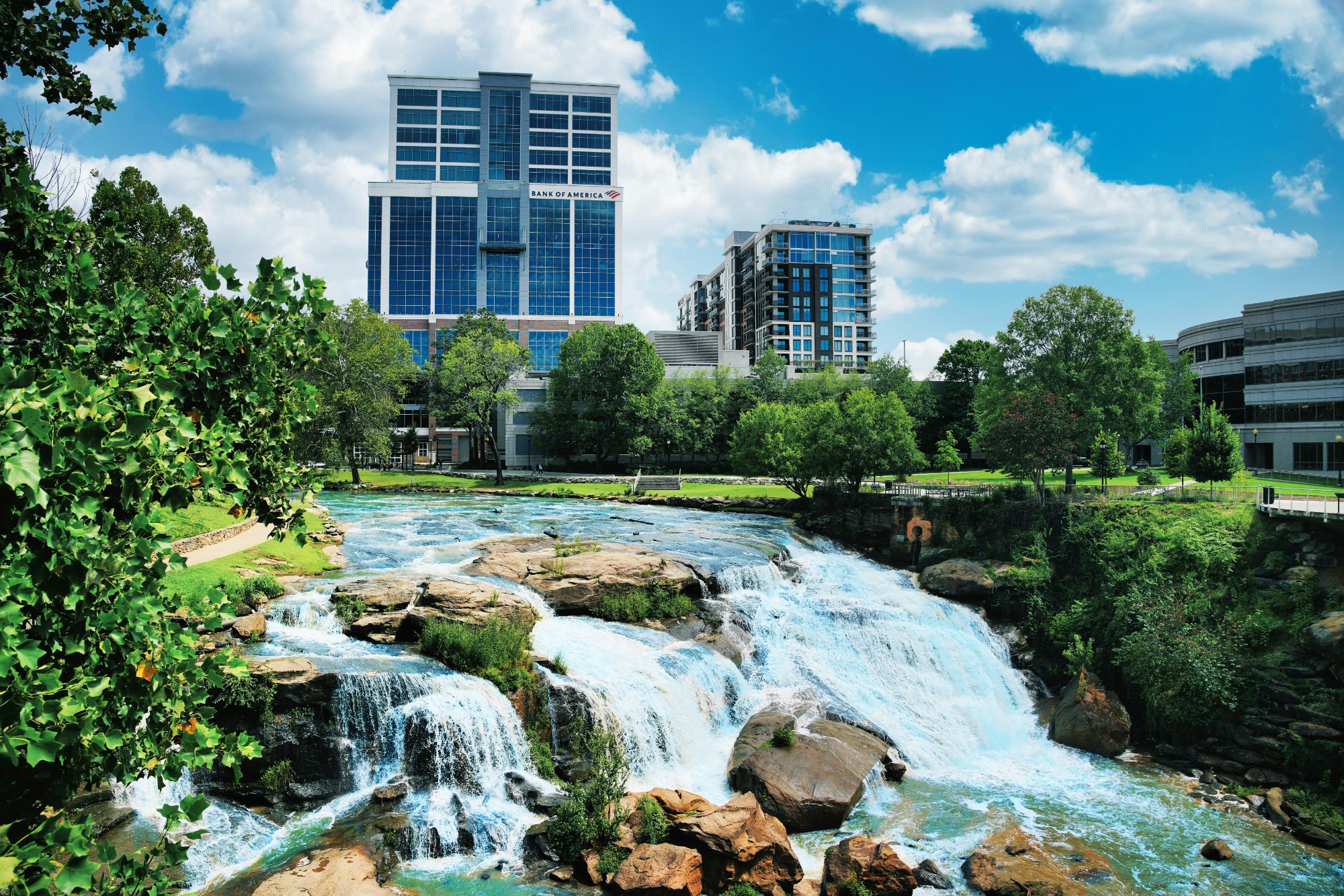 Greenville, NC photo