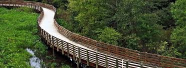 Powder Springs, GA photo