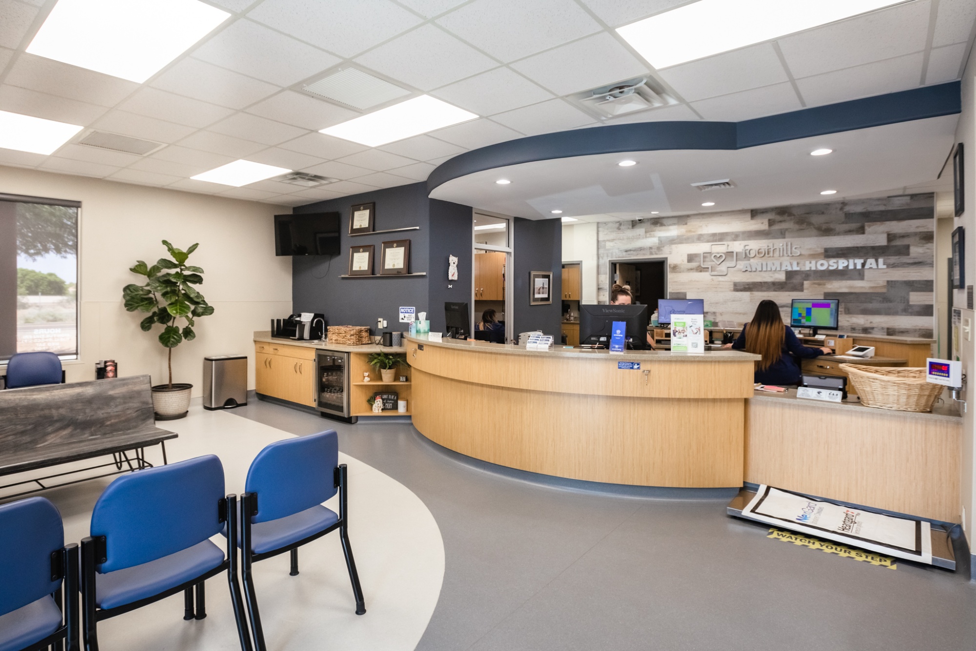 Foothills Animal Hospital photo
