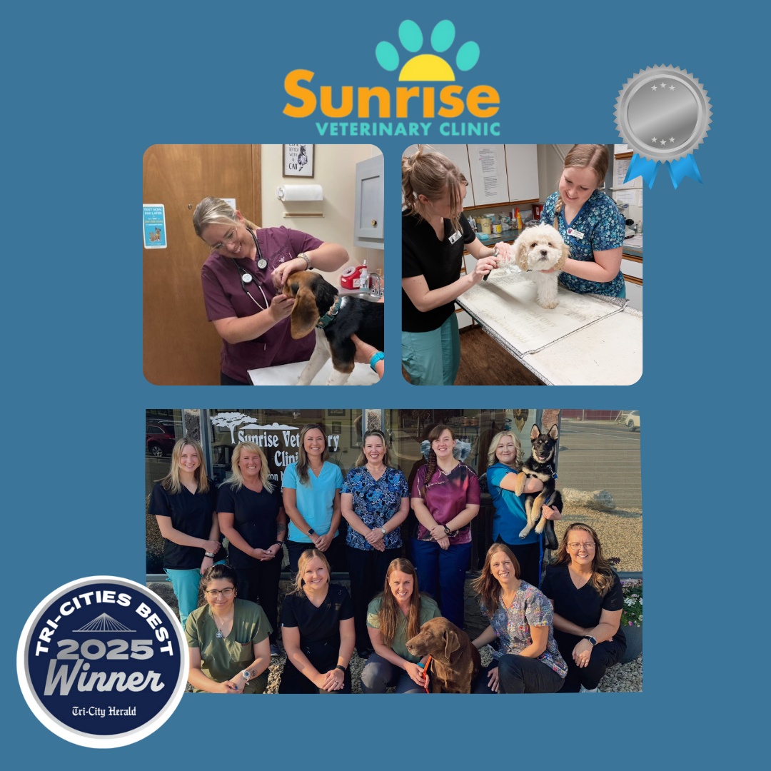   Sunrise Veterinary Clinic photo