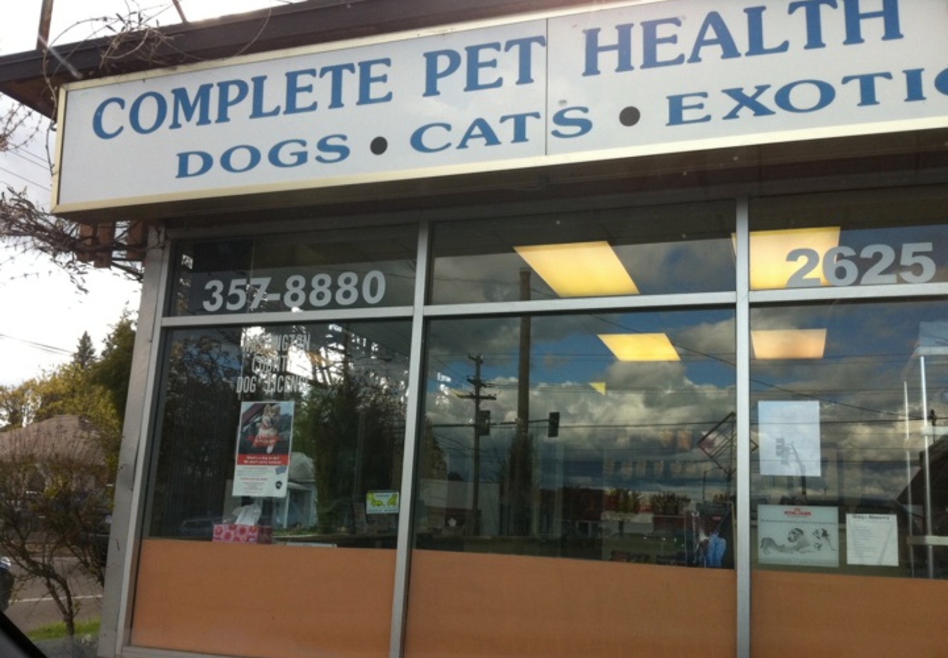 Pacific Avenue Veterinary Clinic photo
