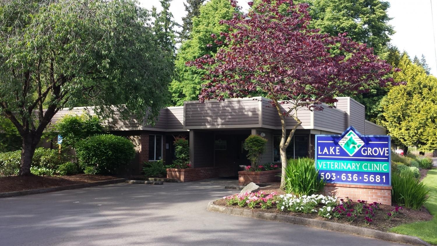 Lake Grove Veterinary Clinic photo